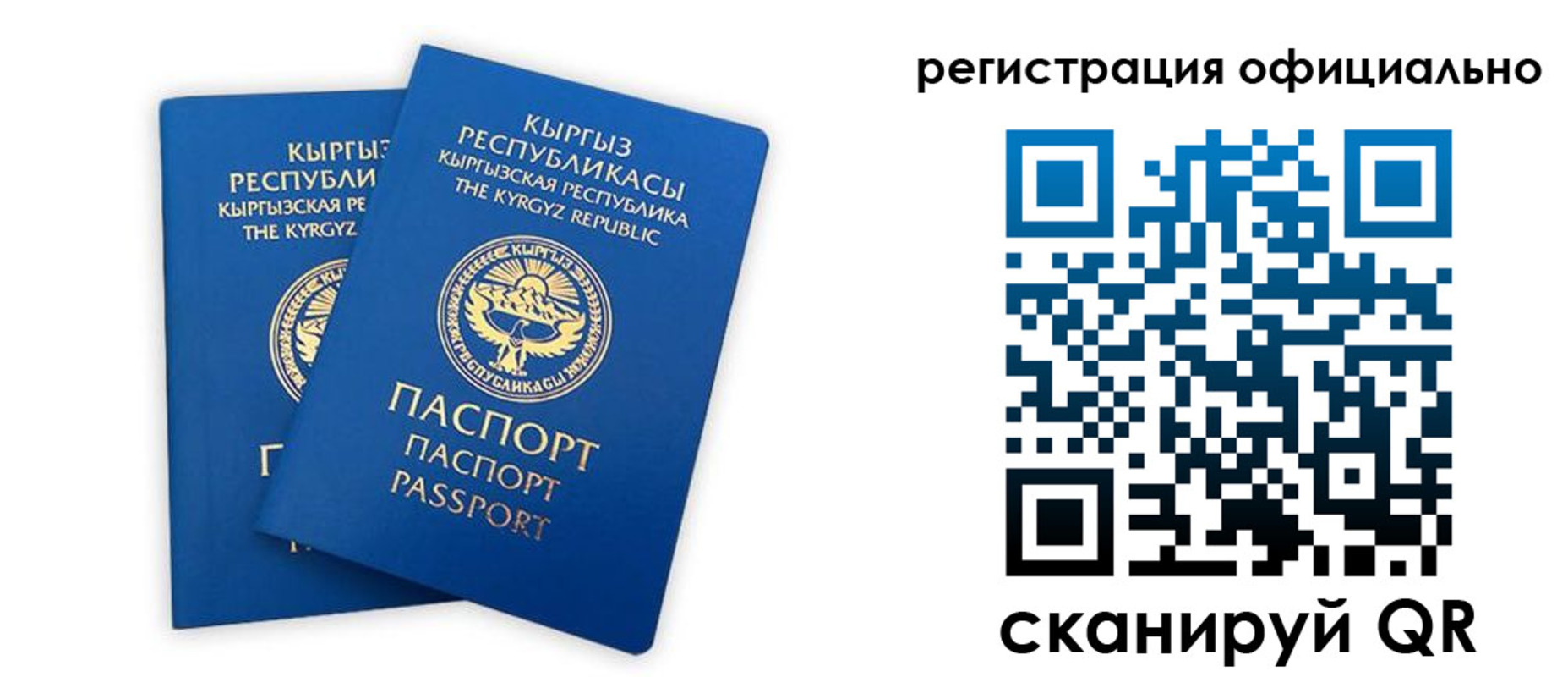 прописка поиск в Пестово